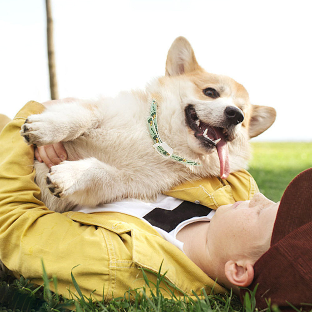 Anti-flea Repellent Pet Collar